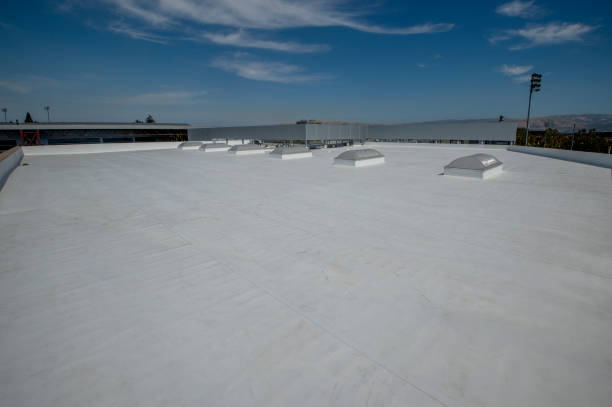Best Cold Roofs  in Elizabeth Lake, CA