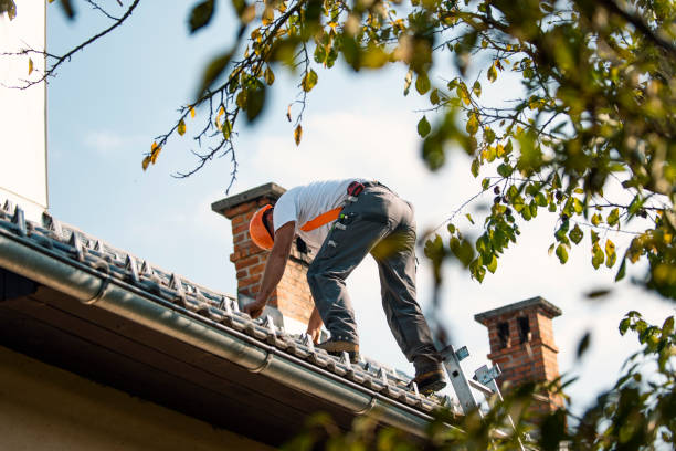 Best Chimney Flashing Repair  in Elizabeth Lake, CA