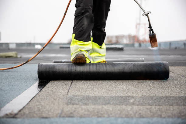Best Asphalt Shingle Roofing  in Elizabeth Lake, CA