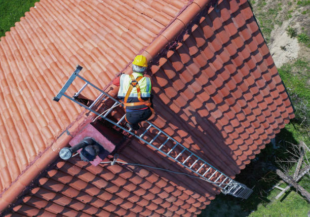 Best Roof Insulation Installation  in Elizabeth Lake, CA